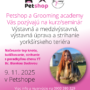 Kurz – seminár yorkširského teriéra